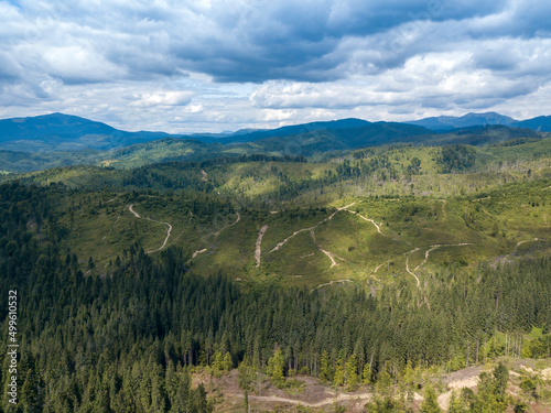 Green mountains of Ukrainian Carpathians in summer. Coniferous trees on the slopes. Aerial drone view.