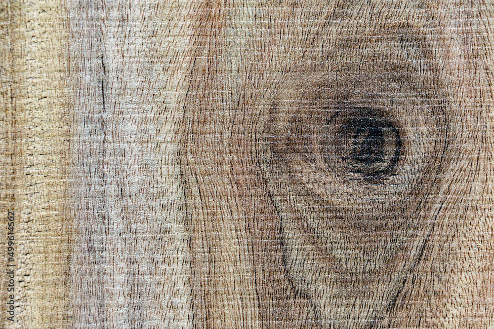 Fototapeta premium Wood texture | surface of teak wood background
