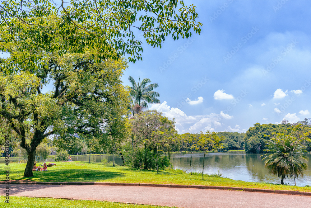 Garden surrounded by trees and a lake in a sunny day