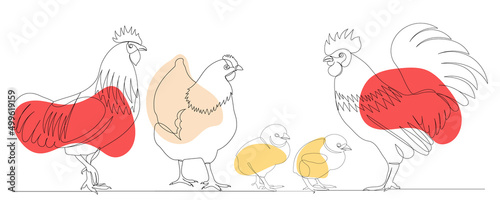 rooster, hen, chicks one continuous line drawing, sketch, vector