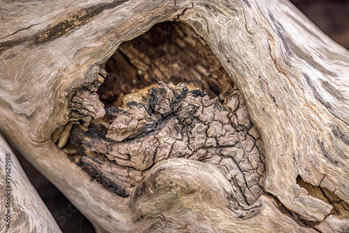 Close-up of patterns on an old tree trunk