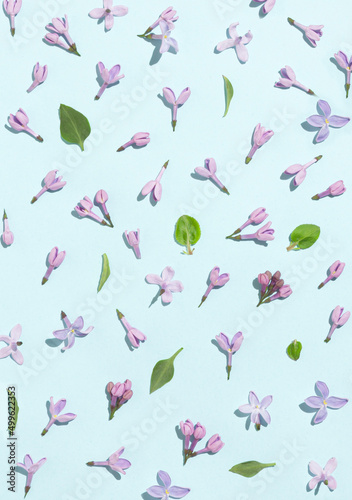 Creative layout of petals lilac flowers and leaves on sunny day. Minimal spring concept of blooming flowers on pastel blue background. Flat lay.