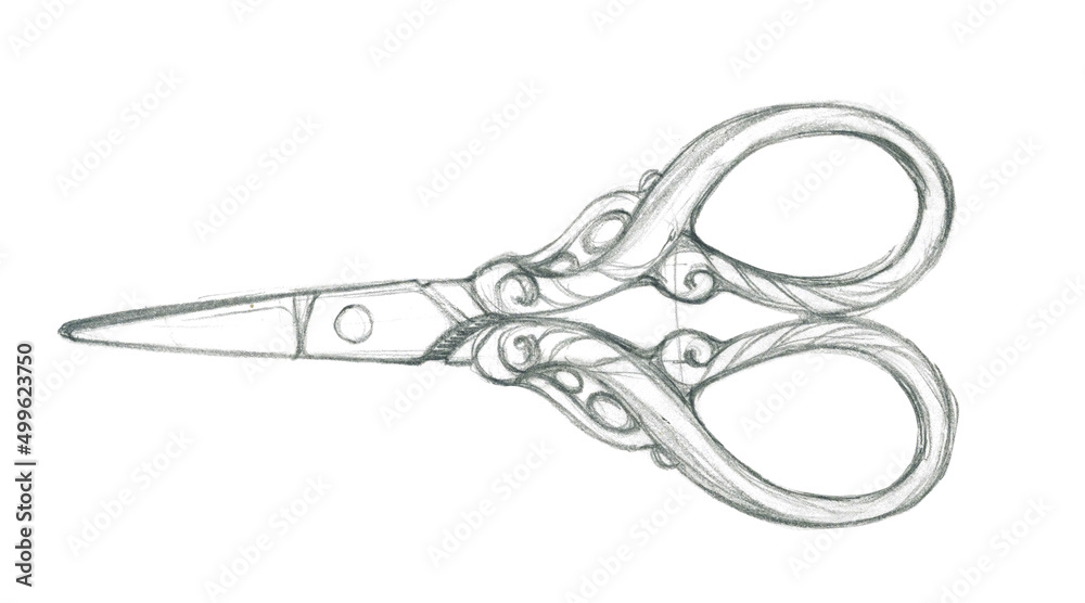 Scissors hand drawn sketch icon. | Stock vector | Colourbox