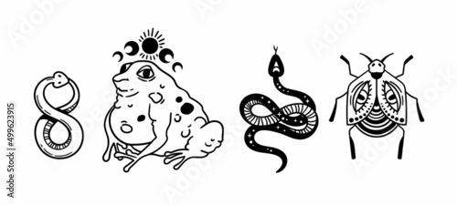Mystical trippy isolated cliparts bundle, goblincore aesthetics, mystical toad, creepy insect, snake - esoteric witchy stuff, black and white illustration