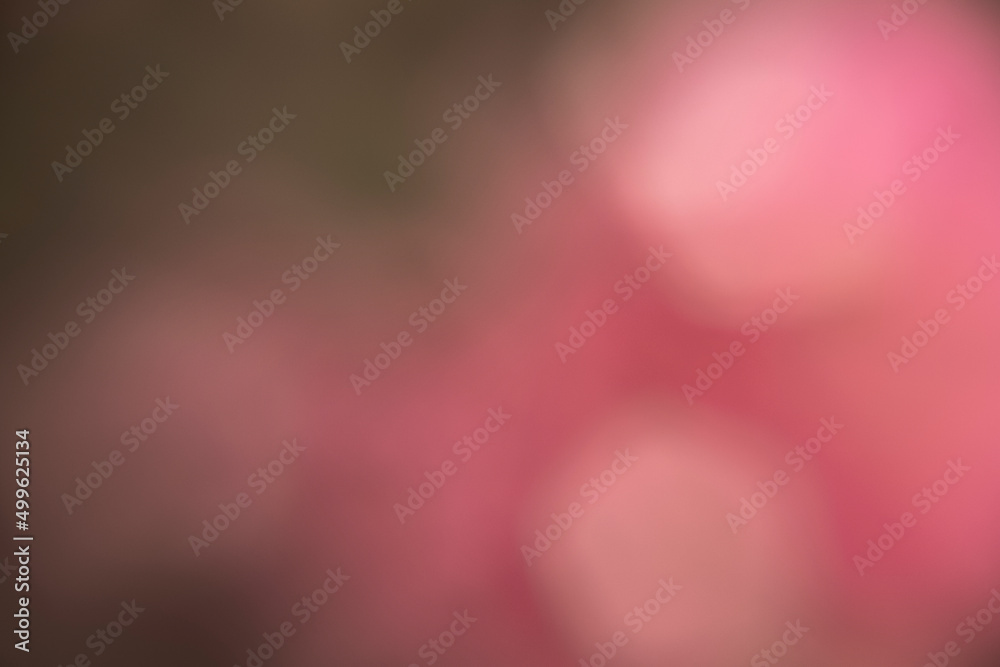 Photography of flowers with bokeh effect. Abstract effect. With a color gradient. Photography of flowers with bokeh effect. Abstract effect. With a color gradient.