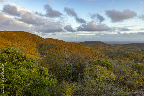 Sunrise over Christoffel National Park during the hike up to the top of Christoffel mountain on the Caribbean island Curacao © freedom_wanted