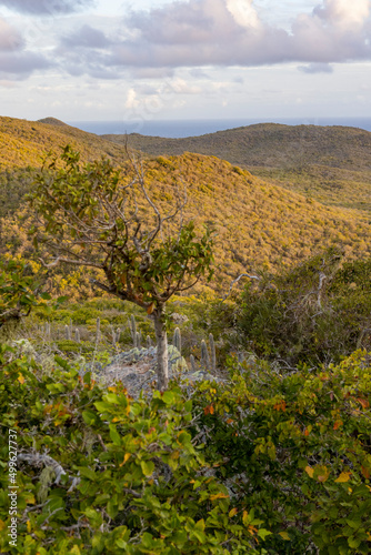 Sunrise over Christoffel National Park during the hike up to the top of Christoffel mountain on the Caribbean island Curacao