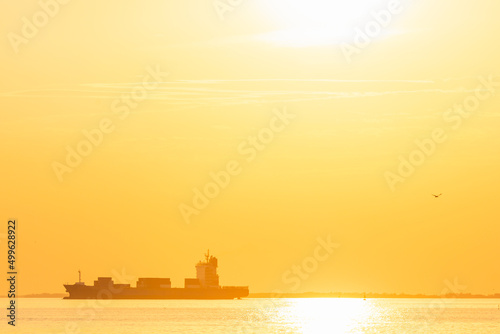 Container cargo ship in the ocean at sunset sky background at Bangpoo, Samutprakarn, Thailand. photo