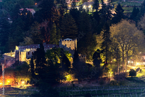 night landscape of medieval castle and its gardens