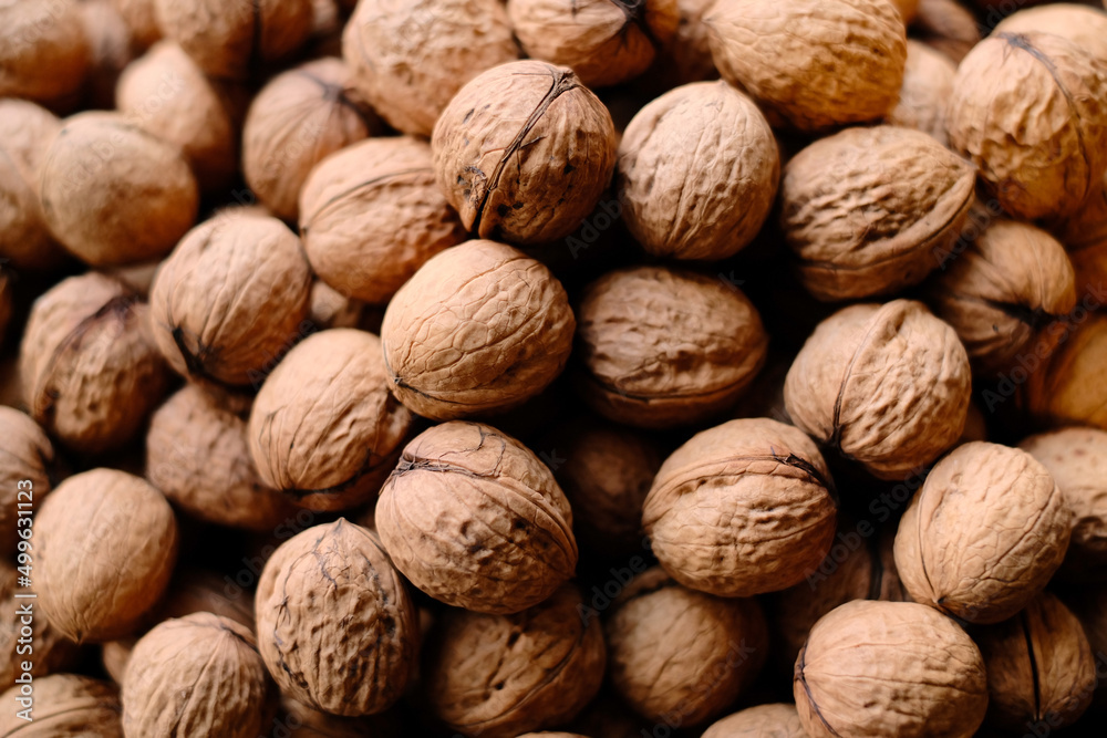 Walnuts in shell, close up, top view. Autumn harvest, unshelled walnuts textured background. Thin skinned Ukrainian varietal high-quality raw nuts. Walnuts in shell, close up, top view. Autumn harvest, unshelled walnuts textured background. Thin skinned Ukrainian varietal high-quality raw nuts.