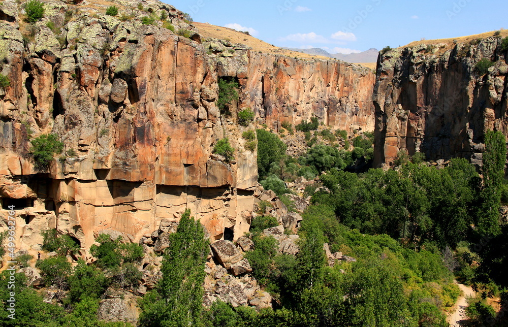 Majestic rocks and green forest in the gorge in the Ihlara Valley in central Anatolia, Cappadocia, Turkey