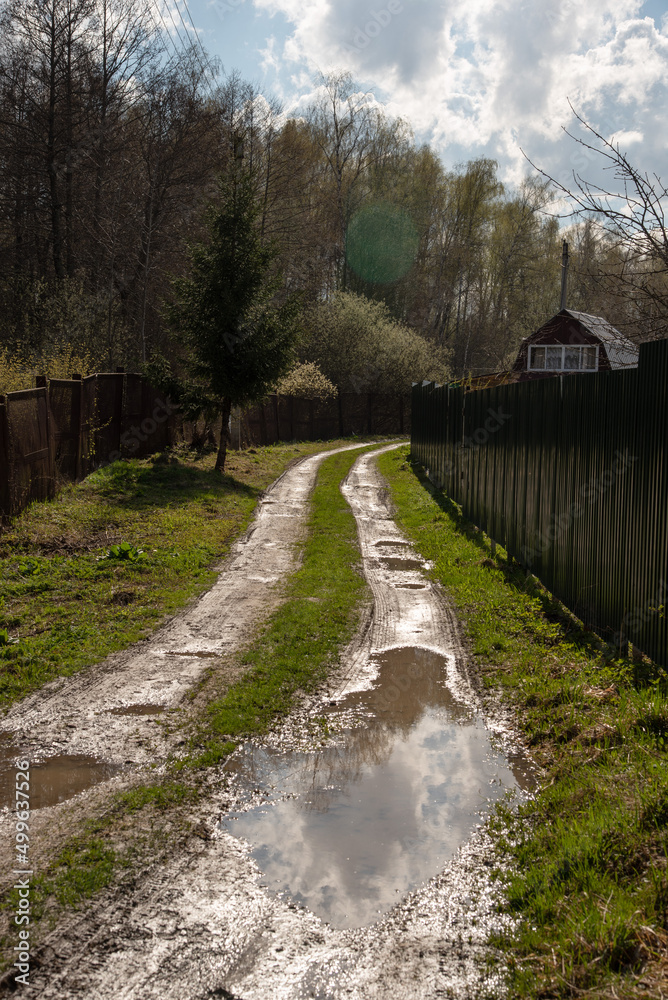 Spring thaw, road in the village