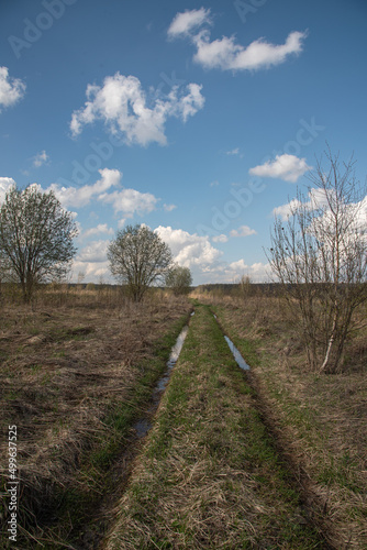 Spring thaw, road in the field