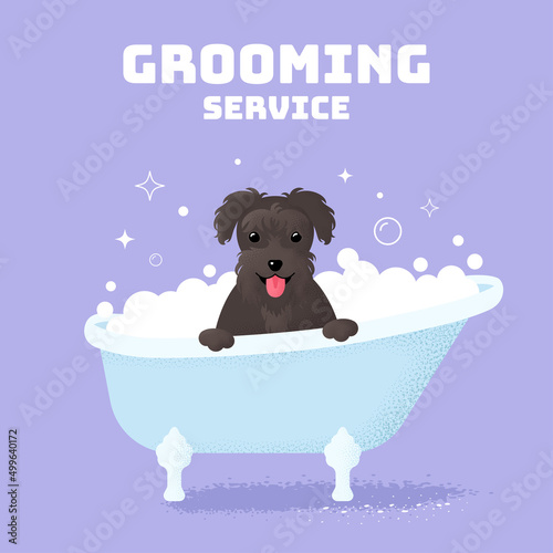 A dog in a bubble bath. Illustration of a puppy. Concept for a grooming salon
