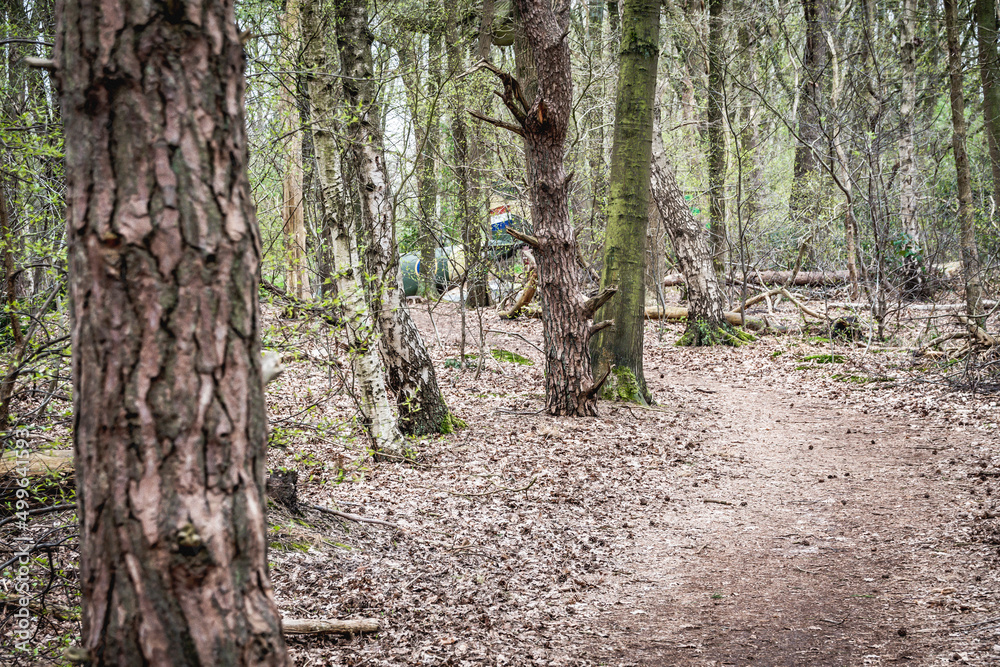 Naklejka premium Historic speedfire wreck in a forest in the Netherlands