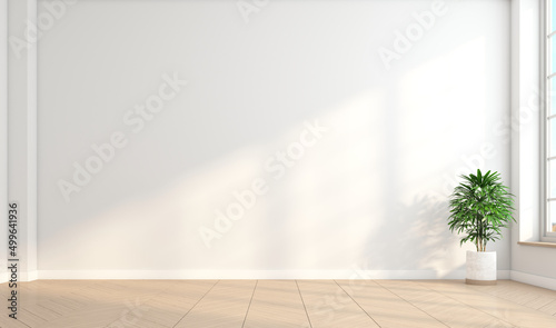 Minimalist empty room with white wall and wooden floor and indoor green plants. 3d rendering