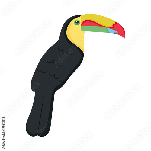 toucan bird icon