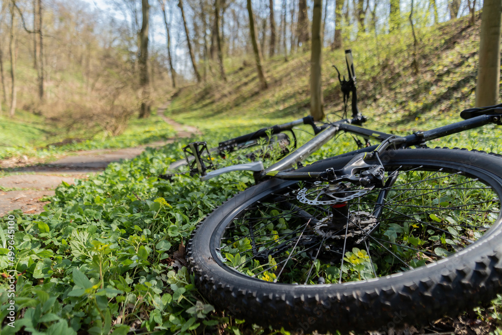 Fototapeta premium The bike lies along the road in the grass
