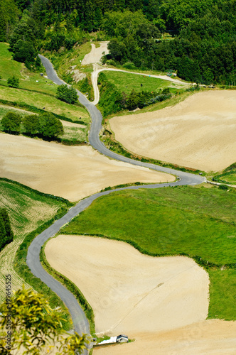 road and fields azores