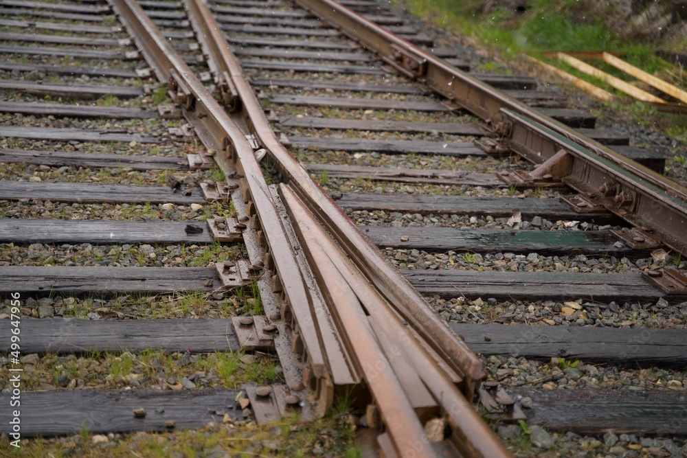 Fototapeta premium railroad tracks in the countryside
