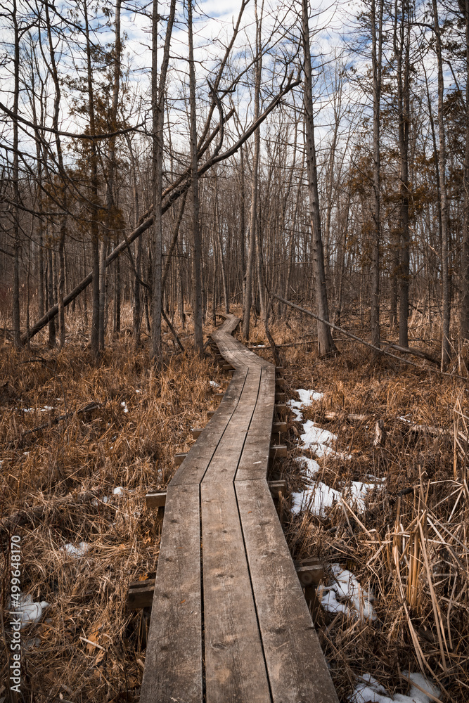 Rustic Walk Rustic Walk