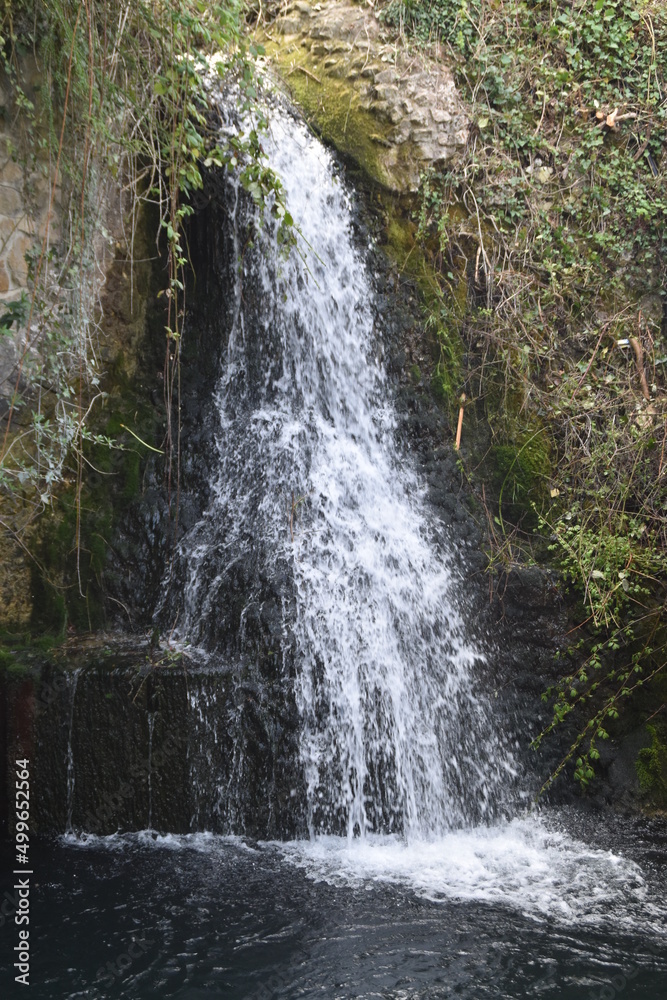 waterfall in the forest waterfall in the forest