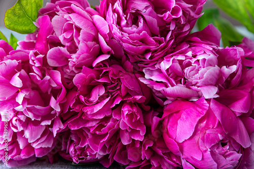 Bouquet of beautiful peonies macro © Vika