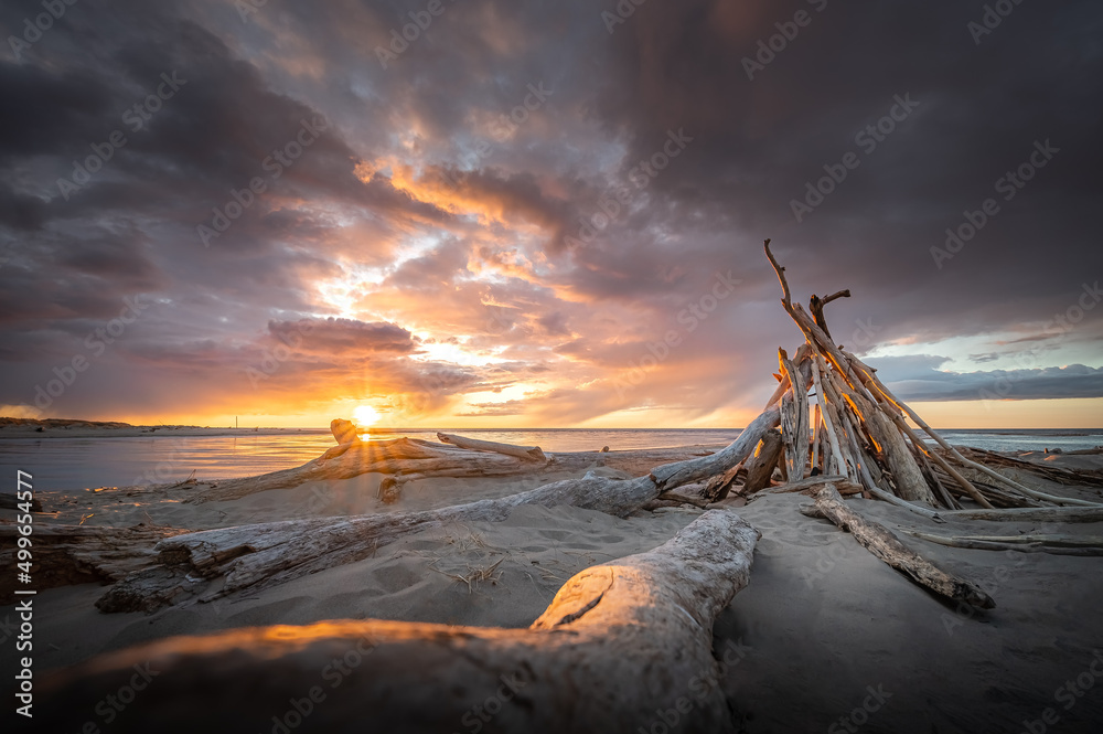 Colorful sunset at wild seaside with giant driftwood on seashore. Baltic sea in stormy weather. 
