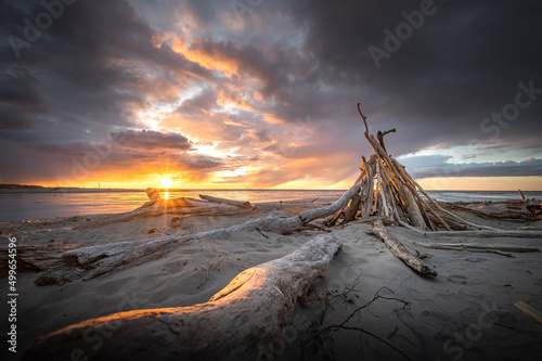 Fototapeta Naklejka Na Ścianę i Meble -  Colorful sunset at wild seaside with giant driftwood on seashore. Baltic sea in stormy weather. 