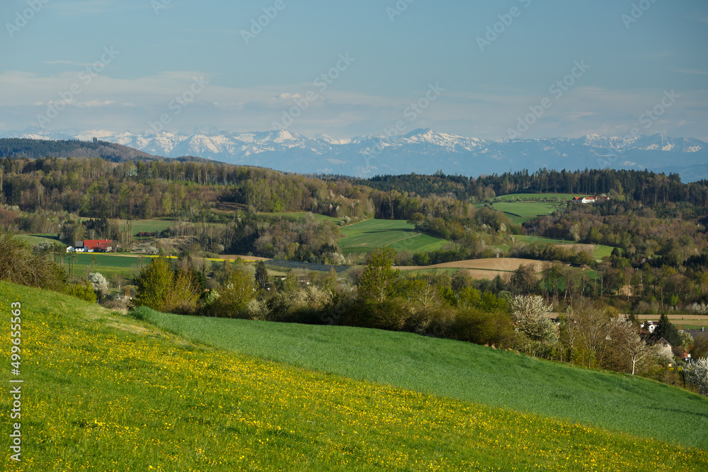 Bodenseeregion mit Alpenvorland bei Frickingen-Leustetten. Lake Constance with an Alpine panorama.