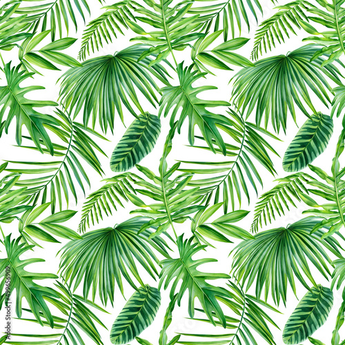 Palm leaves  tropical plant  watercolor botanical illustration. Green leaf Seamless patterns.