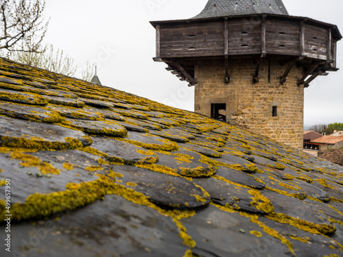 imagen del tejado de pizarra con moho amarillo y una de las torres del castillo de Carcassonne 