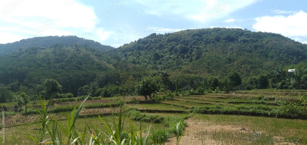 Obraz premium landscape with mountains
