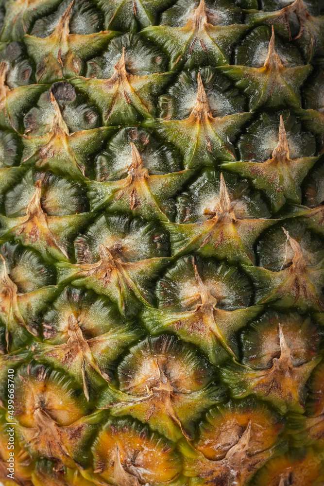 Pineapple peel close up. Pineapple textured background. macro vertical shot Pineapple peel close up. Pineapple textured background. macro vertical shot