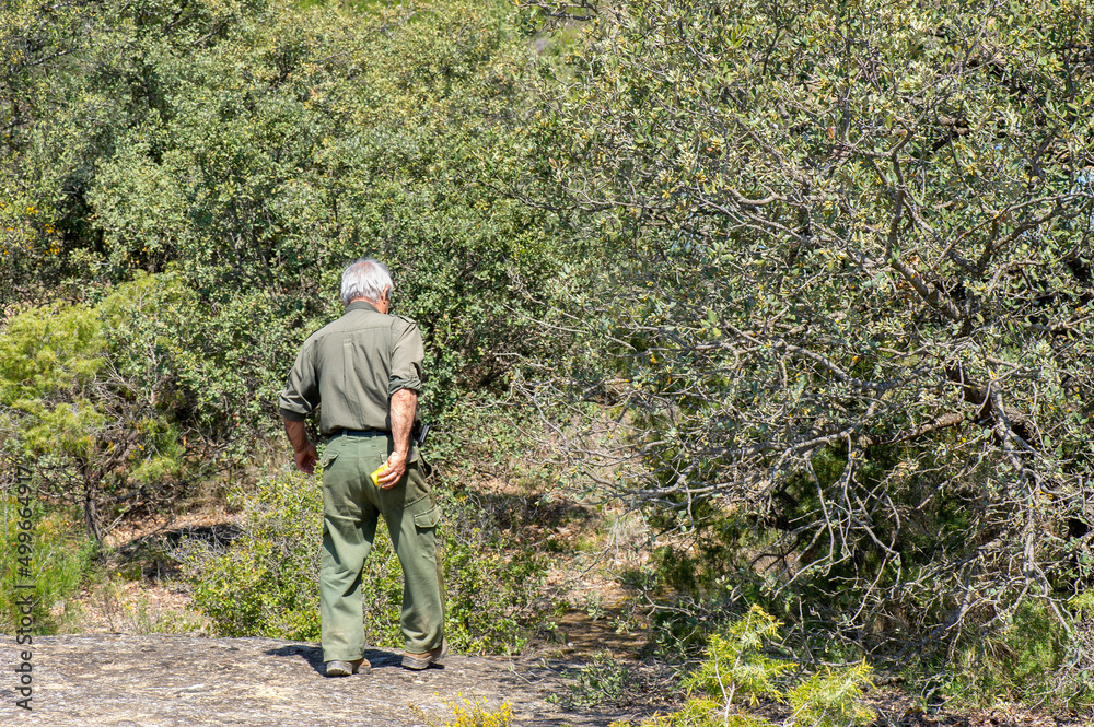 Hombre senior con pantalón y camisa de caza de espaldas en un bosque de encinas Hombre senior con pantalón y camisa de caza de espaldas en un bosque de encinas