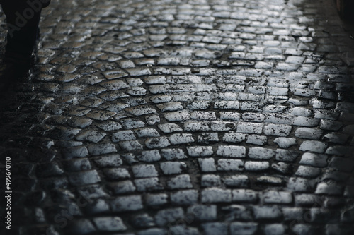 Canvas Print Dark gray paving stones close-up with traces of slush and wet snow