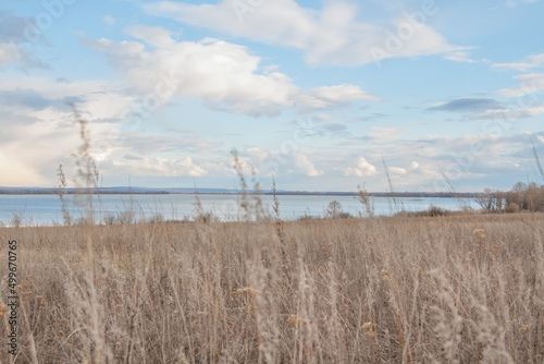 Scenic rural landscape with swaying dry grass on field.