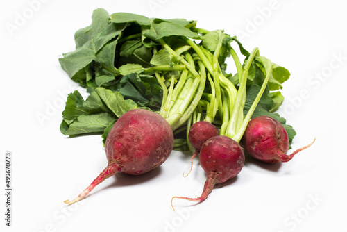 organic fresh bunch of red radishes from local farmers (producers) isolated on white background