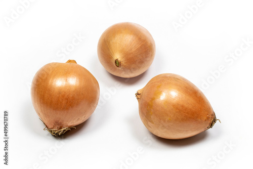 fresh organic yellow onions  from local farmers (producers) isolated on white background