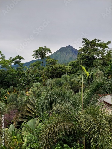trees in the mountains, Arenal volcano