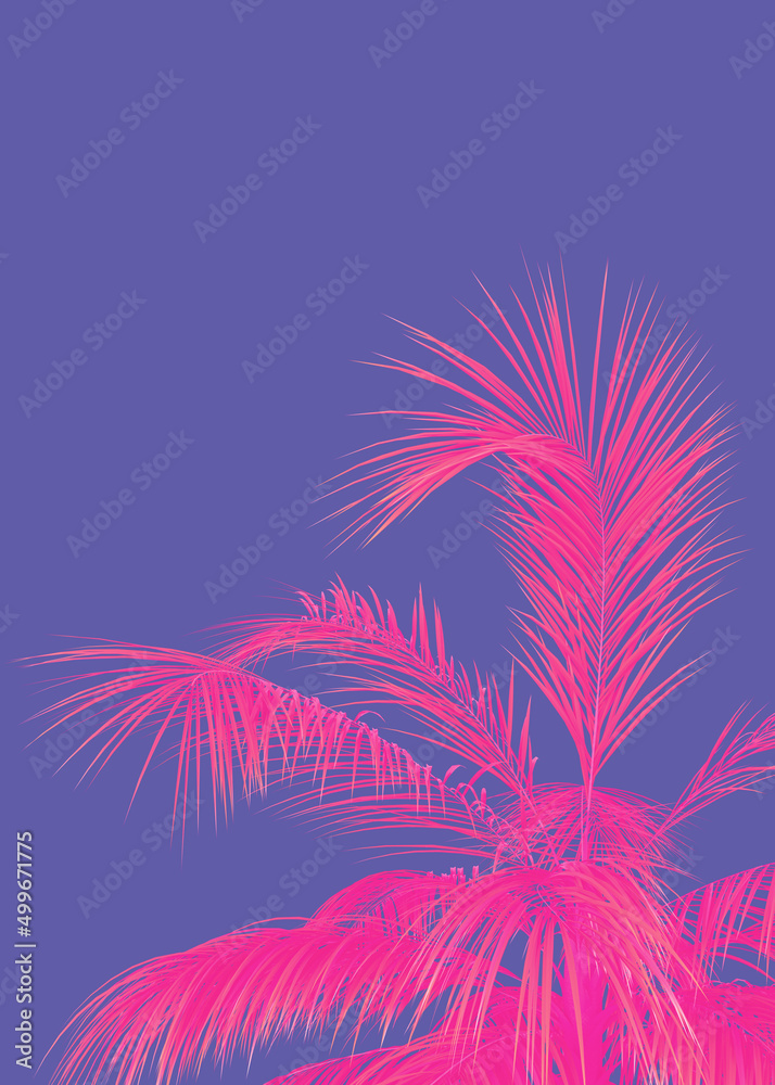 3D Pink palm tree