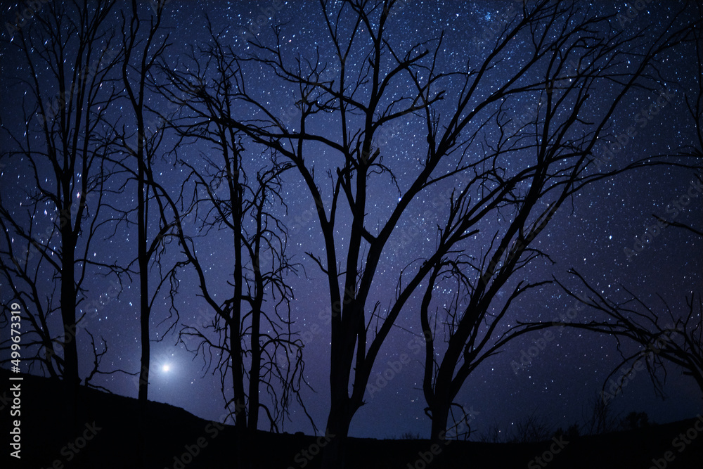Whats dark today will be brighter tomorrow. Shot of trees on a hillside on a dark starry night.