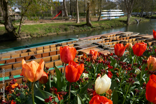 Quadro su tela OXFORD, UK - April 13, 2021. Punting boats in river