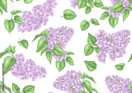 Seamless background with lilac flowers. Vector illustration. Isolated on white background.