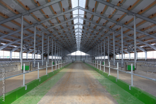 Construction of a large barn on the farm. Modern barn for dairy cows