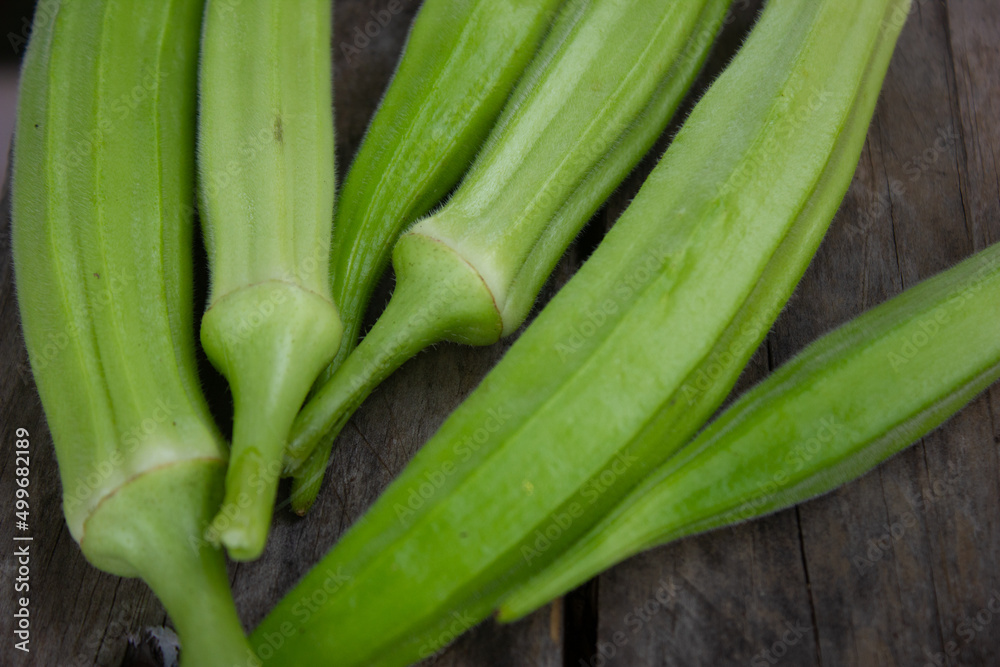 FRESH OKRA, Abelmoschus esculentus RECENTLY HARVESTED FROM AN ORGANIC GARDEN, ON A RUSTIC WOODEN TABLE WITH NATURAL LIGHTING FRESH OKRA, Abelmoschus esculentus RECENTLY HARVESTED FROM AN ORGANIC GARDEN, ON A RUSTIC WOODEN TABLE WITH NATURAL LIGHTING