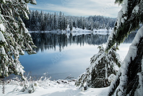 winter snowy forest lake reflection