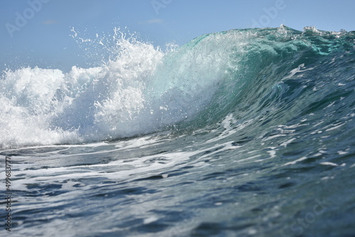 the beauty of a wave to surf