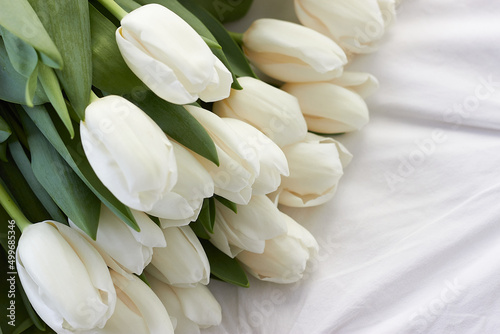 bouquet of white tulip flowers on a white background