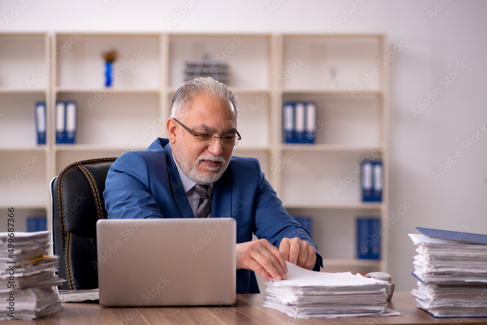 Old male employee working in the office Old male employee working in the office